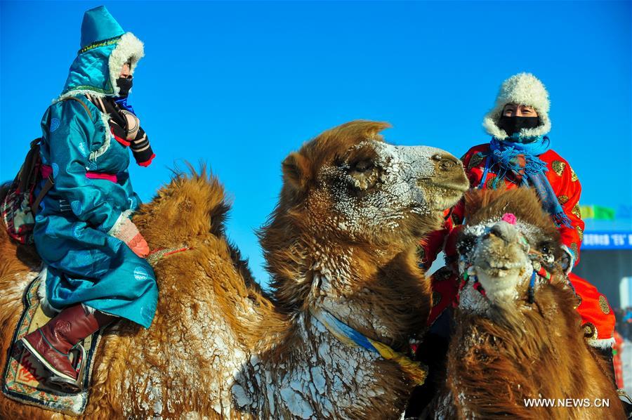 CHINA-INNER MONGOLIA-CAMEL FAIR (CN)