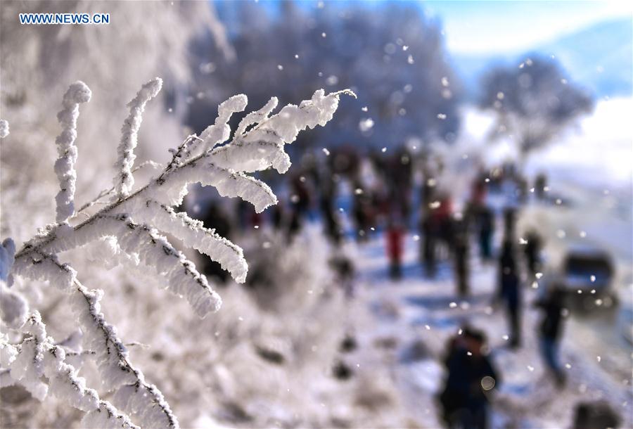 CHINA-JILIN-RIME (CN)