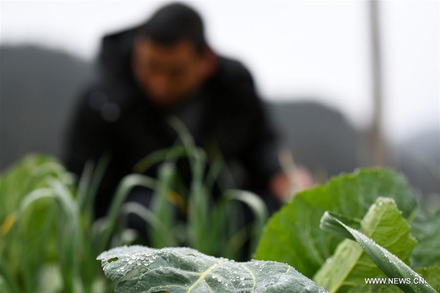 #CHINA-EARLY SPRING-AGRICULTURE (CN)