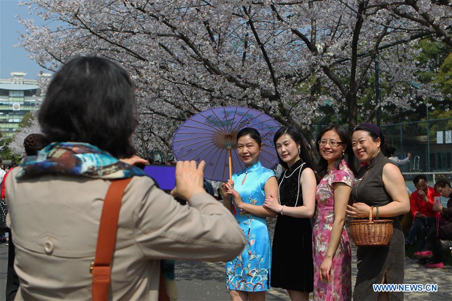 CHINA-SHANGHAI-CAMPUS-CHERRY BLOSSOMS (CN)