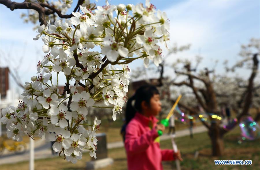 #CHINA-TIANJIN-SPRING GARDEN PARTY (CN)