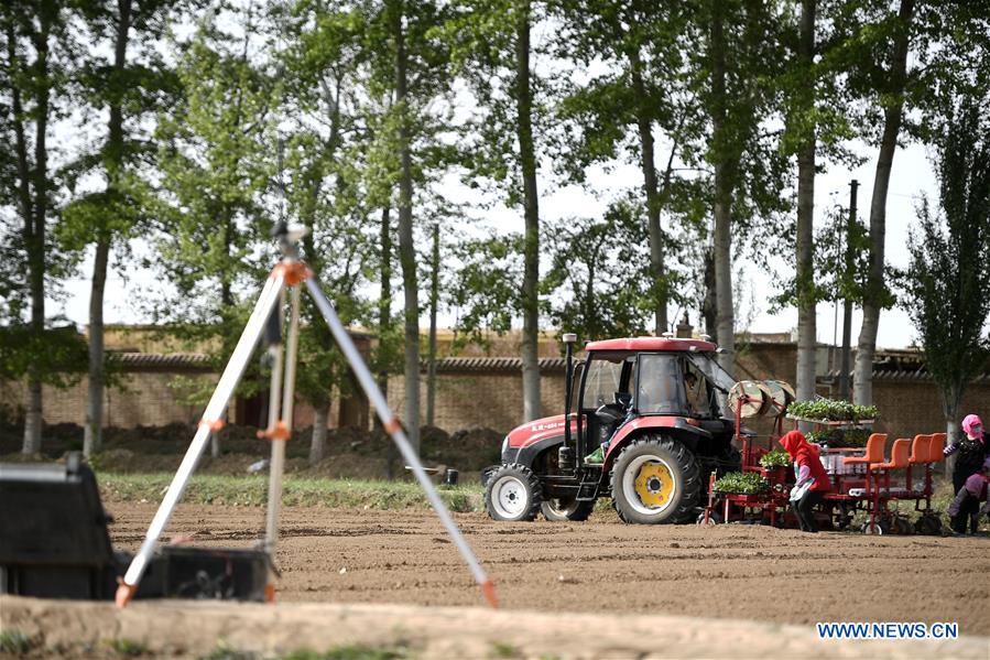 CHINA-NINGXIA-MODERNIZED AGRICULTURE (CN)