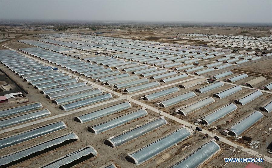 CHINA-GANSU-SOILLESS CULTIVATION (CN)