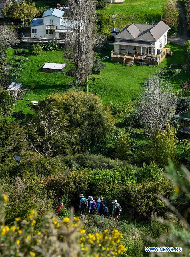 NEW ZEALAND-PUHOI-SCENERY