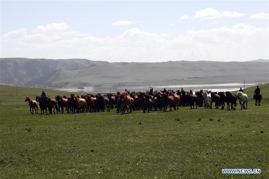 CHINA-GANSU-SHANDAN HORSE RANCH-SCENERY (CN)