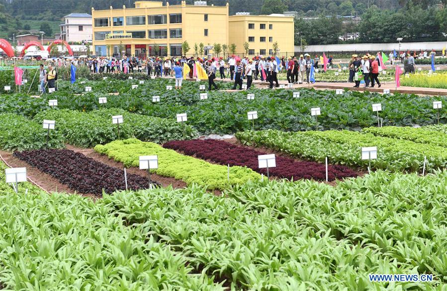 CHINA-YUNNAN-WUDING-VEGETABLE SEEDS EXPO (CN)