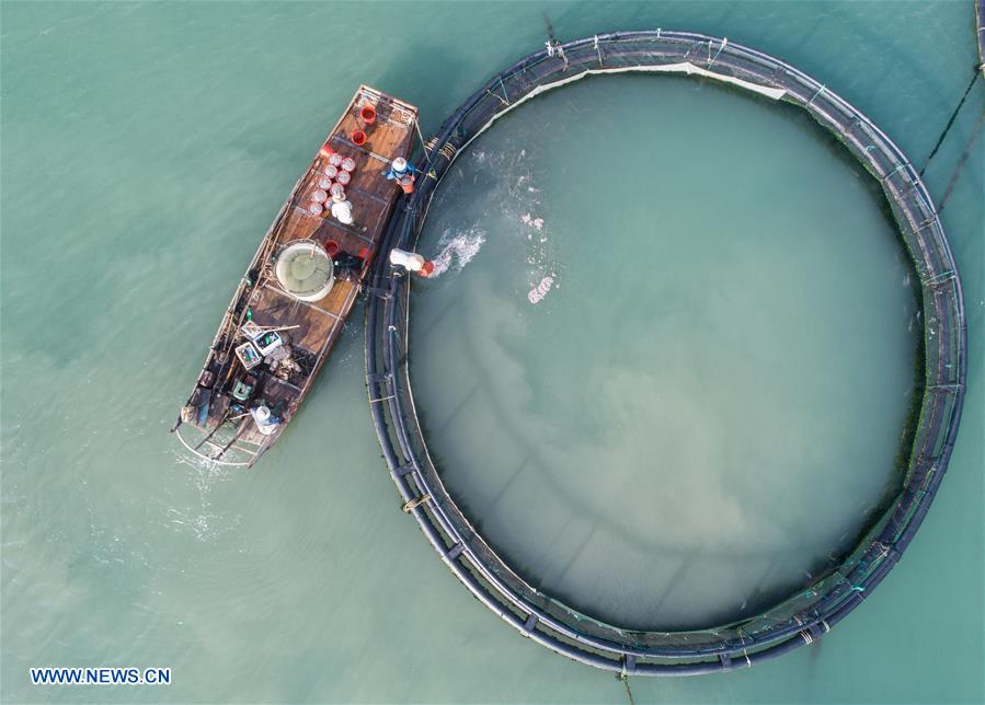 CHINA-ZHEJIANG-WENZHOU-MARICULTURE (CN)