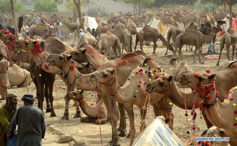 PAKISTAN-KARACHI-EID AL-ADHA