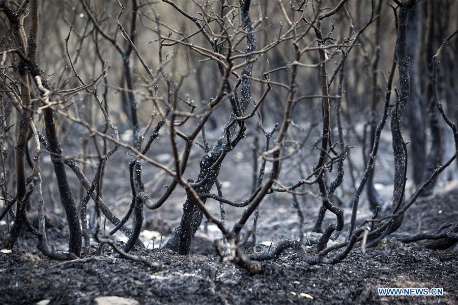 IRAN-MARIVAN-FOREST-WILDFIRE