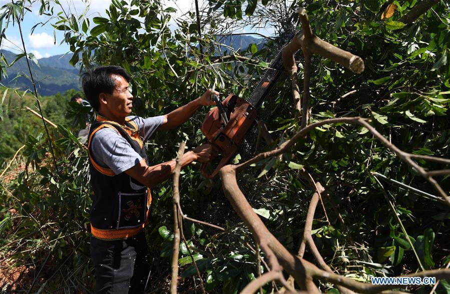 CHINA-GUANGXI-TYPHOON MANGKHUT-AFTERMATH (CN)