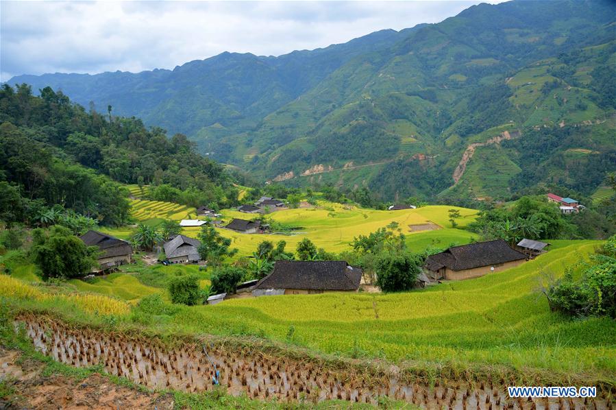 VIETNAM-HA GIANG-TERRACE-SCENERY