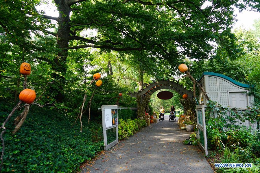 U.S.-NEW YORK-PUMPKIN GARDEN