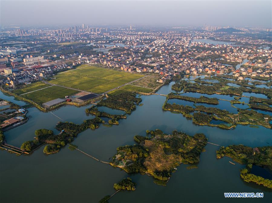 CHINA-HANGZHOU-AUTUMN HARVEST(CN)