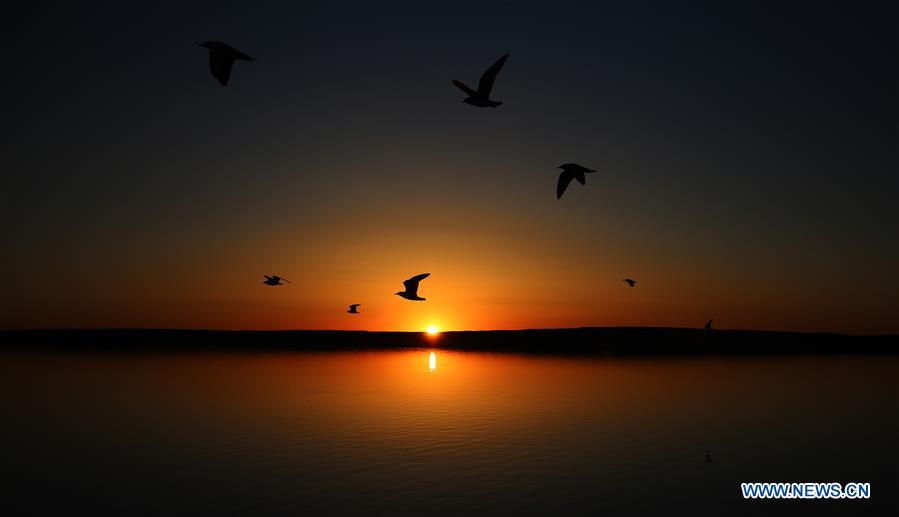 CHINA-INNER MONGOLIA-JUYAN LAKE-SCENERY(CN)