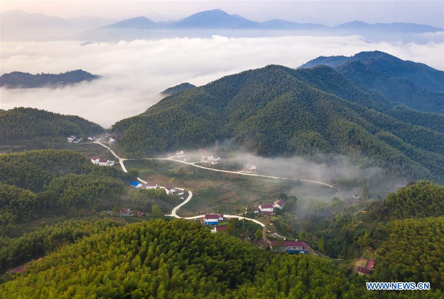 #CHINA-ANHUI-DABIESHAN MOUNTAIN-SCENERY (CN)