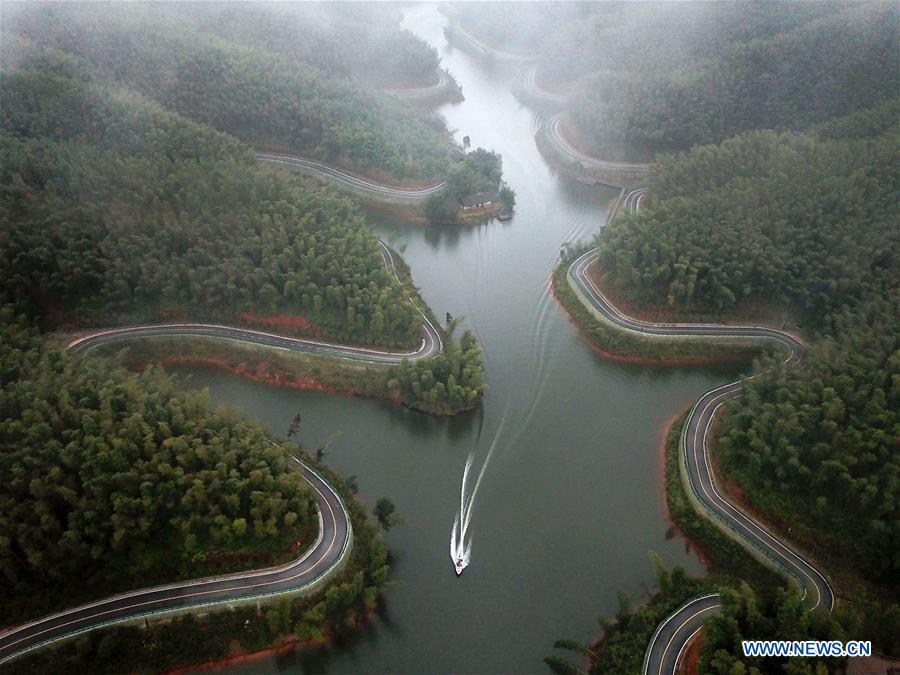 #CHINA-GUIZHOU-CHISHUI-FOREST PARK (CN*) 