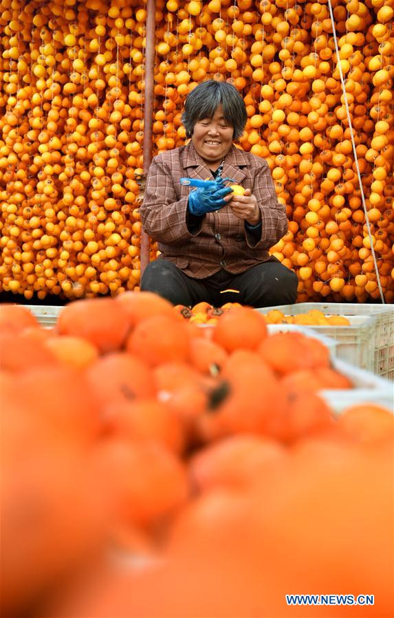 #CHINA-SHANDONG-ZIBO-PERSIMMON (CN)