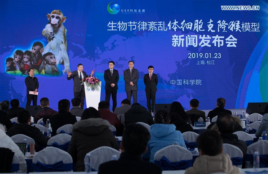 CHINA-SHANGHAI-GENE-EDITED MONKEYS (CN) 