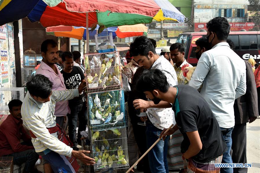 BANGLADESH-DHAKA-PIGEON-MARKET