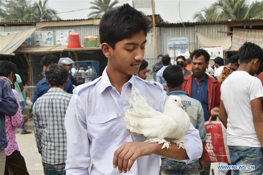 BANGLADESH-DHAKA-PIGEON-MARKET