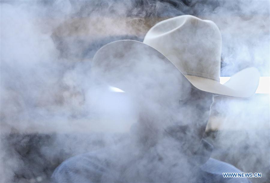 U.S.-HOUSTON-LIVESTOCK SHOW-HAT