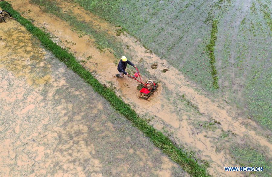 CHINA-GUANGXI-DU'AN-SPRING SCENERY (CN)