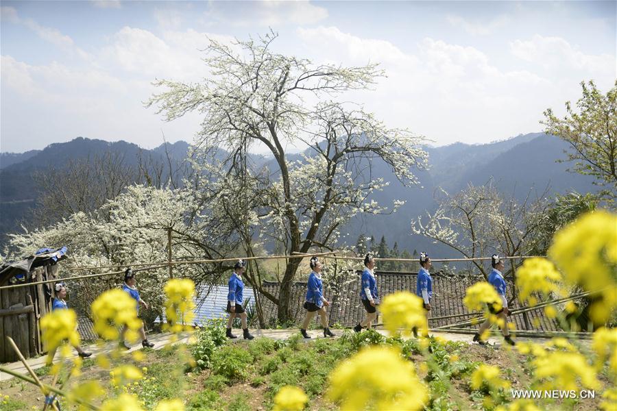 #CHINA-GUIZHOU-MIAO ETHNIC GROUP-SISTERS FESTIVAL (CN)