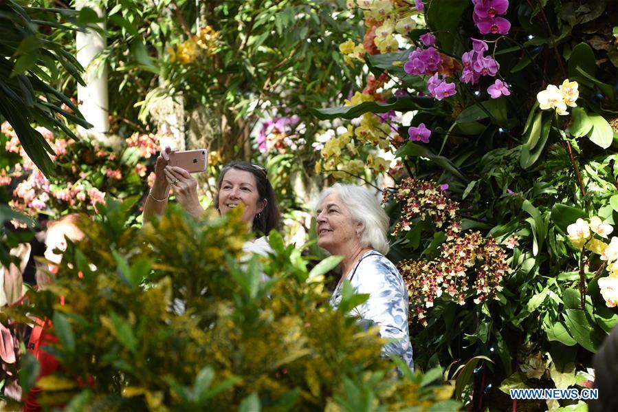 U.S.-NEW YORK-BOTANICAL GARDEN-ORCHID SHOW