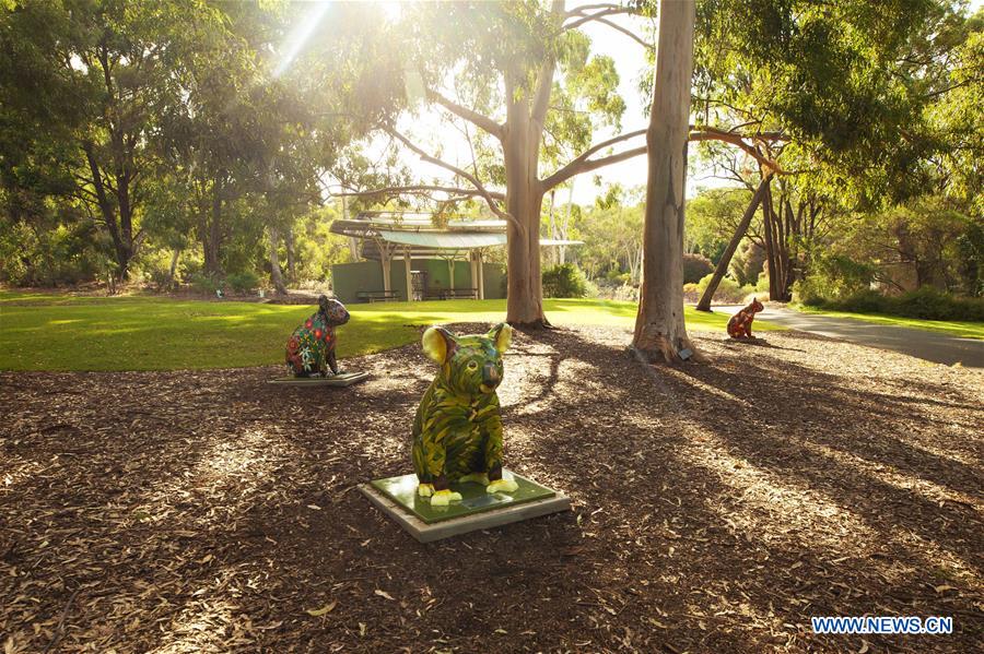 AUSTRALIA-CANBERRA-NATIONAL BOTANIC GARDENS-KOALA STATUE