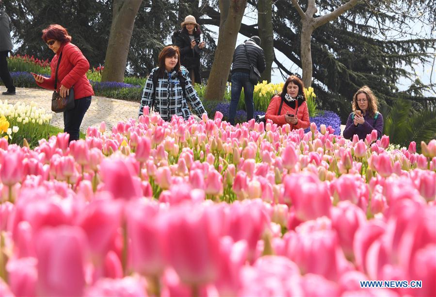 TURKEY-ISTANBUL-TULIPS