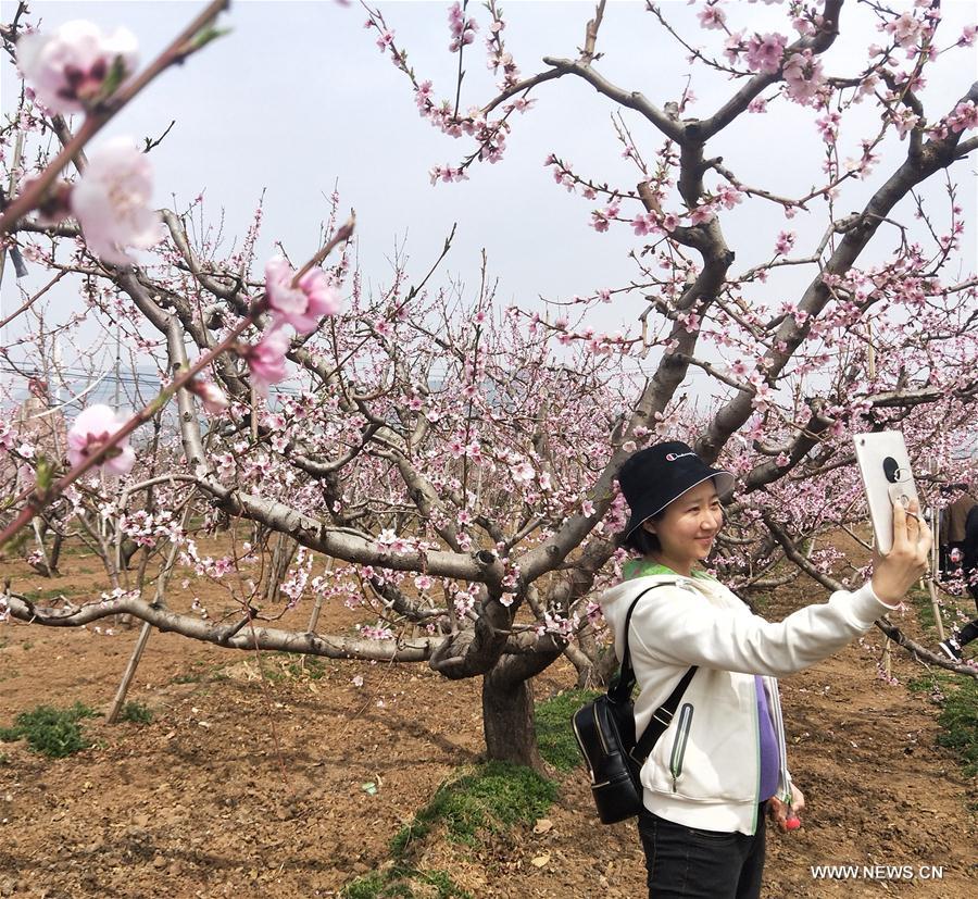 CHINA-BEIJING-SPRING (CN)