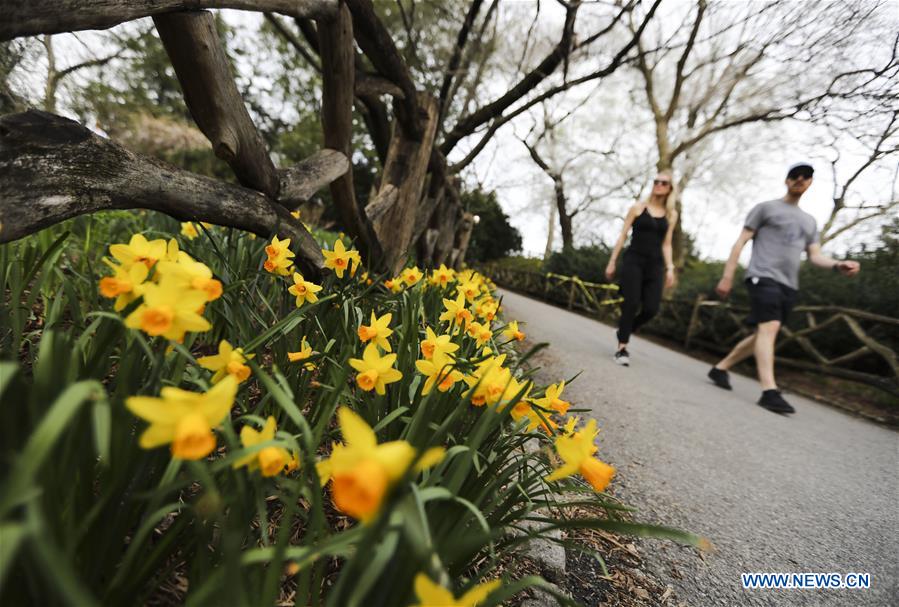 U.S.-NEW YORK-CENTRAL PARK-SPRING-LEISURE