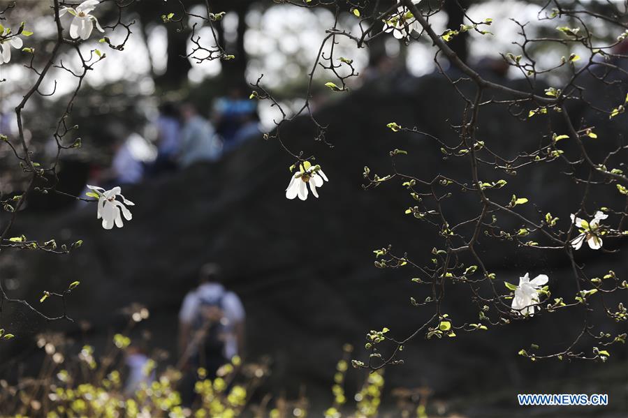 U.S.-NEW YORK-CENTRAL PARK-SPRING-LEISURE