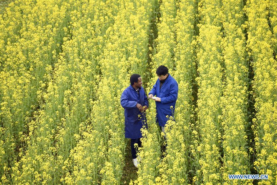 CHINA-HUNAN-CAMEROONIAN STUDENT-AGRICULTURE (CN)