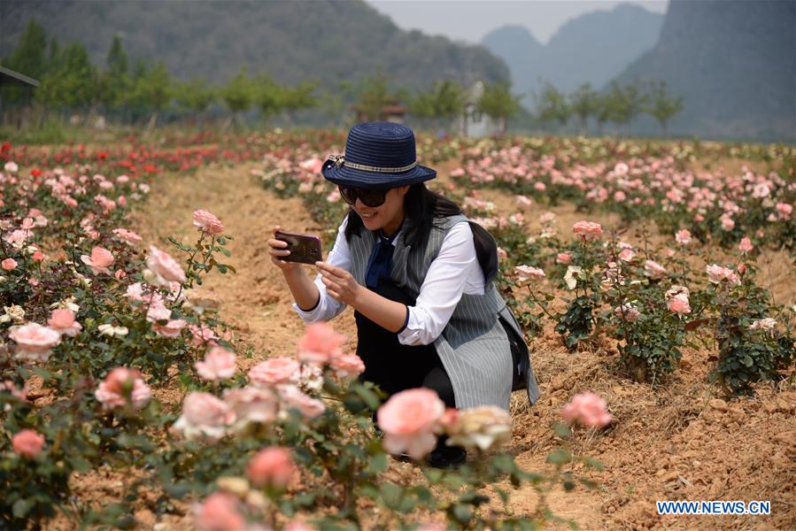 CHINA-YUNNAN-PUZHEHEI NATIONAL WETLAND PARK (CN)