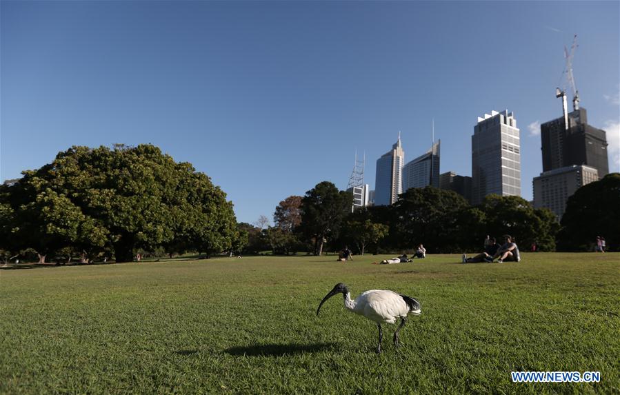 AUSTRALIA-SYDNEY-ROYAL BOTANIC GARDEN