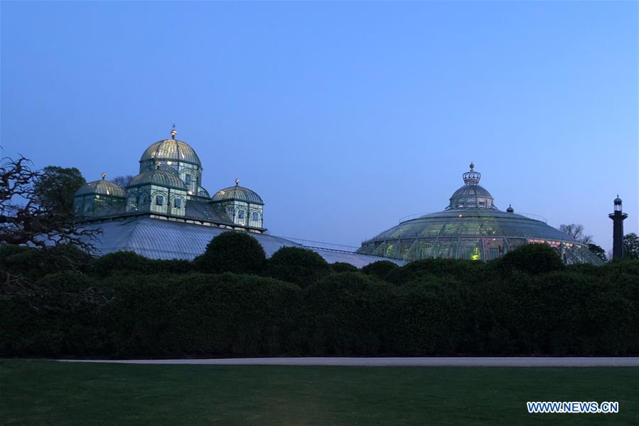 BELGIUM-BRUSSELS-ROYAL GREENHOUSES