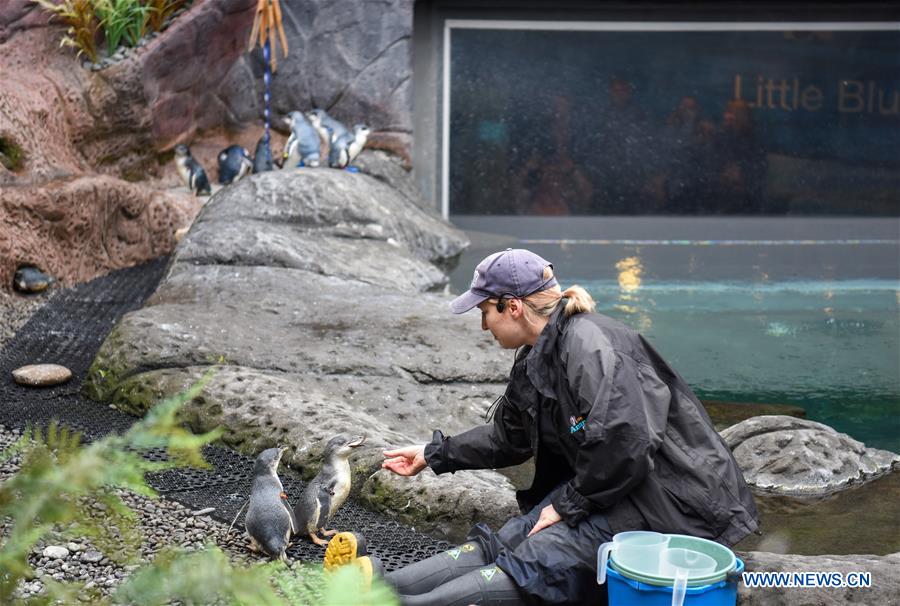 NEW ZEALAND-CHRISTCHURCH-ANTARCTIC CENTER