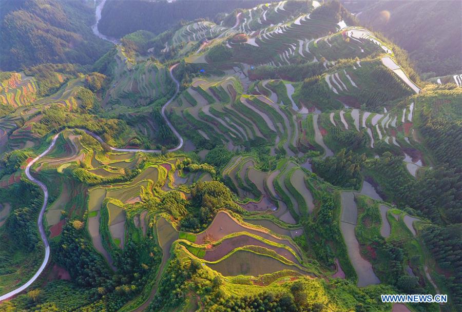 CHINA-GUANGXI-RONGSHUI-TERRACED FIELDS (CN)