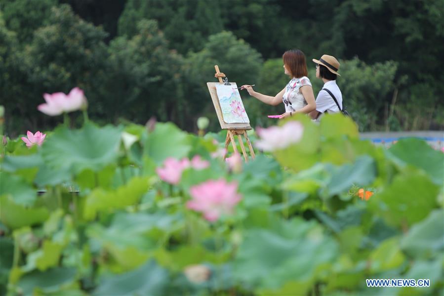 #CHINA-SUMMER-LOTUS (CN)