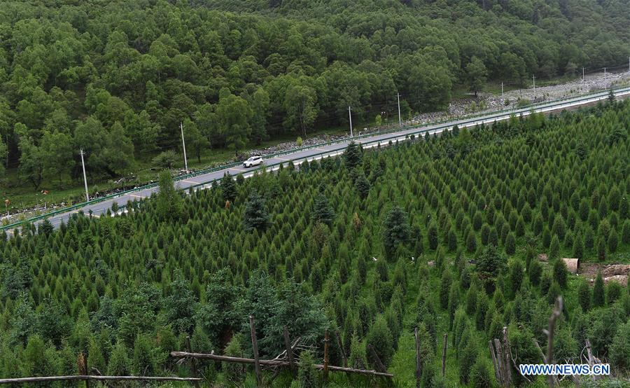 CHINA-QINGHAI-NEW HIGHWAY (CN)