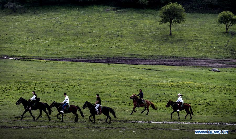 CHINA-SHAANXI-BAOJI-GUANSHAN GRASSLAND (CN)