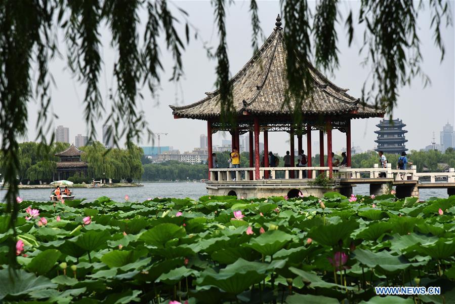 CHINA-SHANDONG-JINAN-DAMING LAKE-LOTUS (CN)