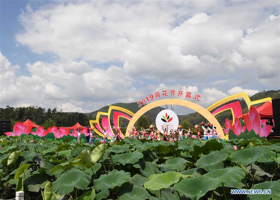 CHINA-YUNNAN-LOTUS FLOWERS (CN)