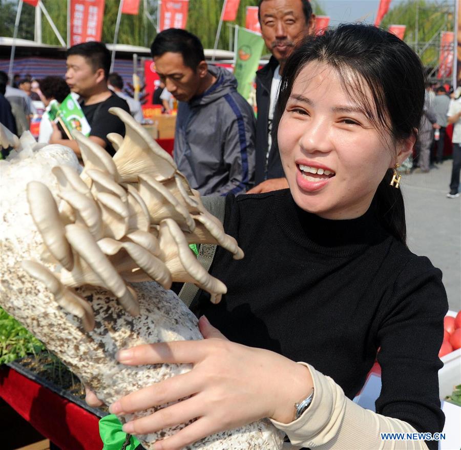 #CHINA-HARVEST FESTIVAL-CELEBRATION (CN)