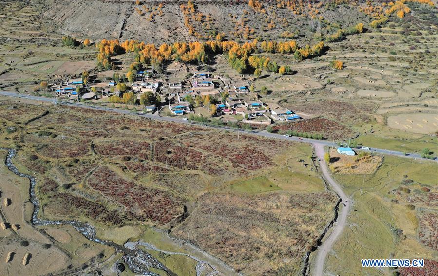 CHINA-TIBET-AUTUMN SCENERY (CN)