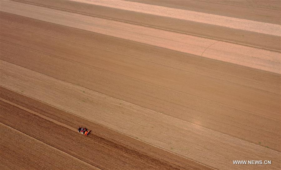 CHINA-HENAN-BAOFENG-FARMING (CN)