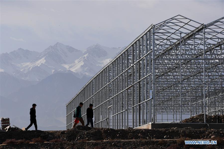 CHINA-GANSU-JIUQUAN-GOBI DESERT-AGRICULTURE (CN)