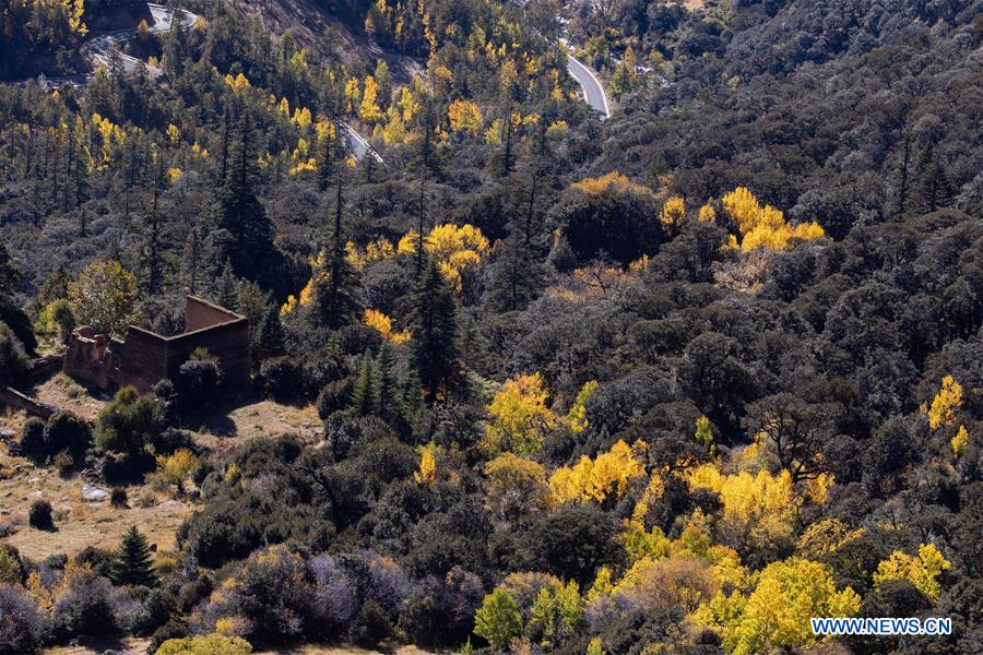 CHINA-SICHUAN-AUTUMN SCENERY (CN)