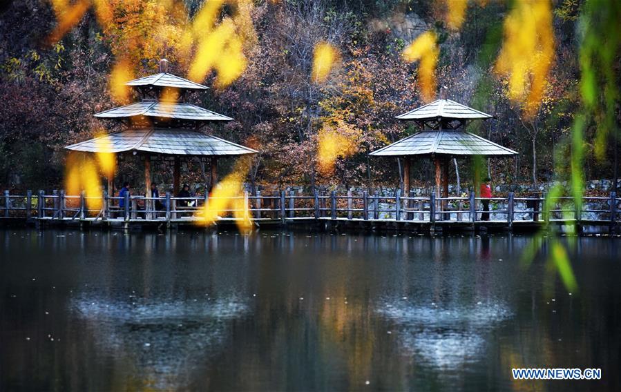 CHINA-SHANDONG-JINAN-AUTUMN SCENERY (CN)